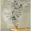 Buy 🤩 Star Wars Millennium Falcon Peel & Stick Mural 🎉