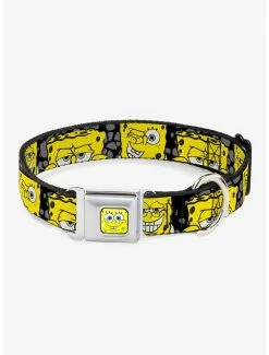 Hot Sale 🌟 SpongeBob Close Up Expressions 🦮 Dog Collar Seatbelt Buckle 🔥