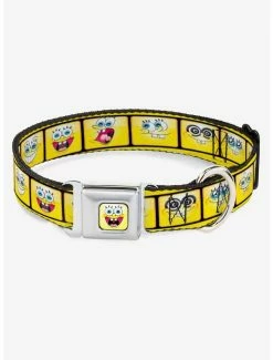 New ⭐ Spongebob Squarepants 10 Expressions Filmstrip 🐕 Dog Collar Seatbelt Buckle 🎁