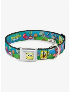 Wholesale 💯 Spongebob Squarepants And Friends Logo 🐕 Dog Collar Seatbelt Buckle 😉