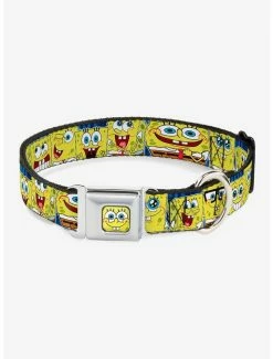 Best Sale 🤩 Spongebob Squarepants Expressions 🐶 Dog Collar Seatbelt Buckle 💯