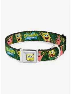 Buy ⭐ Spongebob Squarepants Patrick Starfish Bamboo Frames Logo 🐶 Dog Collar Seatbelt Buckle 😀