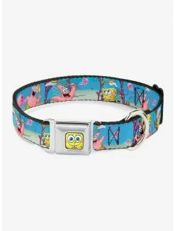 Best reviews of 🎁 Spongebob Squarepants Patrick Starfish Jellyfishing Scenes 🐕 Dog Collar Seatbelt Buckle 😉