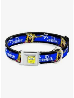 New 😀 Spongebob Sqaurepants Pose It's Spongebob Blue 🦮 Dog Collar Seatbelt Buckle 🧨