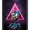 Hot Sale 🔔 Sonic The Hedgehog Gotta Go Fast Framed Poster ✨