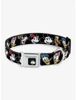 Top 10 ❤️ Disney The Sensational Six Smiling Faces Seatbelt Buckle 🦮 Dog Collar ⭐