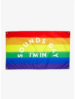 Best deal 🥰 Sounds Gay Rainbow Stripe Banner 💯