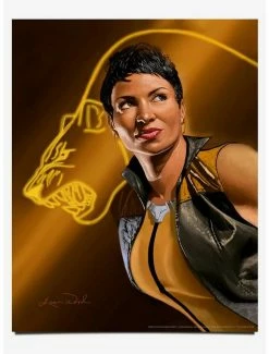 Top 10 👍 DC Comics Vixen 14" x 11" Art Print 🧨