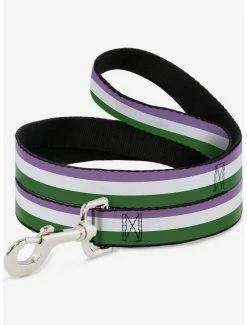 Budget 💯 Genderqueer Flag 🦮 Dog Leash ✔️
