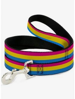 Outlet ❤️ Pansexual Flag 🐶 Dog Leash ✨