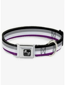 Cheap 🧨 Asexual Flag Seatbelt 🦮 Dog Collar 🤩