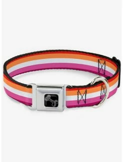 Cheap 🛒 Lesbian Flag Seatbelt 🦮 Dog Collar ✨