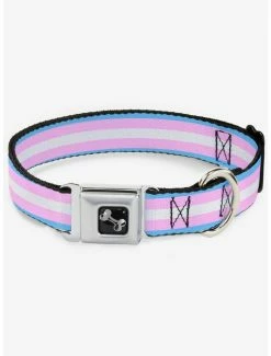Best reviews of 🎁 Transgender Flag Seatbelt 🐕 Dog Collar ✔️