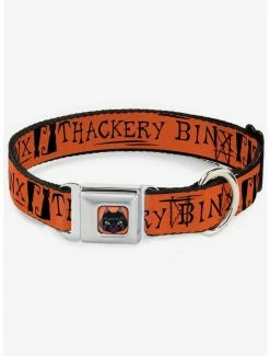 Budget 💯 Hocus Pocus Thackery Binx Cat Silhouette Seatbelt 🐕 Dog Collar 😉