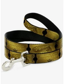 Brand new 🔥 The Polar Express Round Trip Ticket 🐕 Dog Leash 🎉