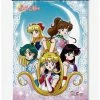 Deals 🎉 Sailor Moon Group Wall Scroll 🎁