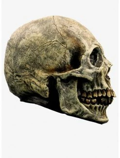 Deals 😉 Skull Decor 🔥