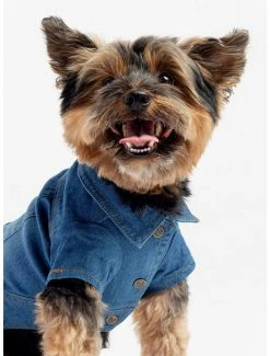 Best Sale ๐ Dusten ๐ฆฎ Dog Jacket ๐ฅฐ 5 Best Sale ๐ Dusten ๐ฆฎ Dog Jacket ๐ฅฐ -Furniture Outlet Store 16537789 av2