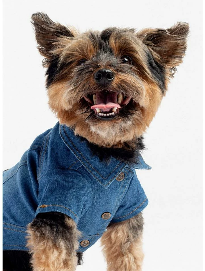 Best Sale ๐ Dusten ๐ฆฎ Dog Jacket ๐ฅฐ 3 Best Sale ๐ Dusten ๐ฆฎ Dog Jacket ๐ฅฐ - Image 3