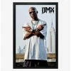 Budget 🔥 DMX Nyc Framed Wood Wall Art 🎉