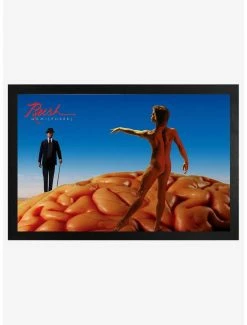 Hot Sale 🎉 Rush Hemispheres Framed Wood Wall Art 🔔