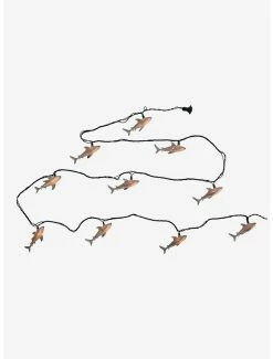 Top 10 👏 Light Shark Light Set 👍