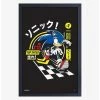 Hot Sale 😉 Sonic the Hedgehog Top speed Framed Wood Wall Art 🎉