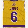 Buy 🤩 NBA Los Angeles Lakers LeBron James Plush Throw 💯