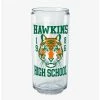 Buy 🎉 Stranger Things Hawkins High School Can Cup 🧨