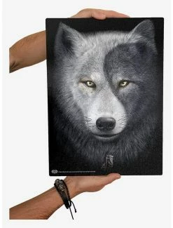Budget 👏 Wolf Chi Glass Chopping Board 🎉 -Furniture Outlet Store 19821311 av1
