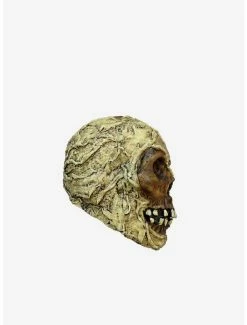 Hot Sale 🎁 Decorative Mummy Skull 🥰 -Furniture Outlet Store 19822388 av1