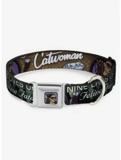 Flash Sale 💯 DC Comics Catwoman Nine Lives of A Feline Fatale Diamond Seatbelt Buckle 🐶 Dog Collar ✨
