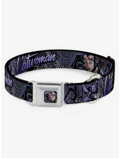 Brand new 🛒 DC Comics Catwoman Nine Lives of A Feline Fatale Pose Purple Seatbelt Buckle 🐶 Dog Collar 🛒