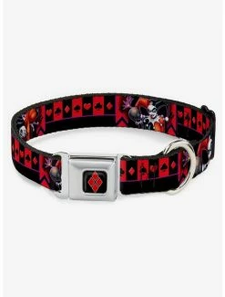 Hot Sale 🔔 DC Comics Harley Quinn Black Purple Red Seatbelt Buckle 🦮 Dog Collar ⌛