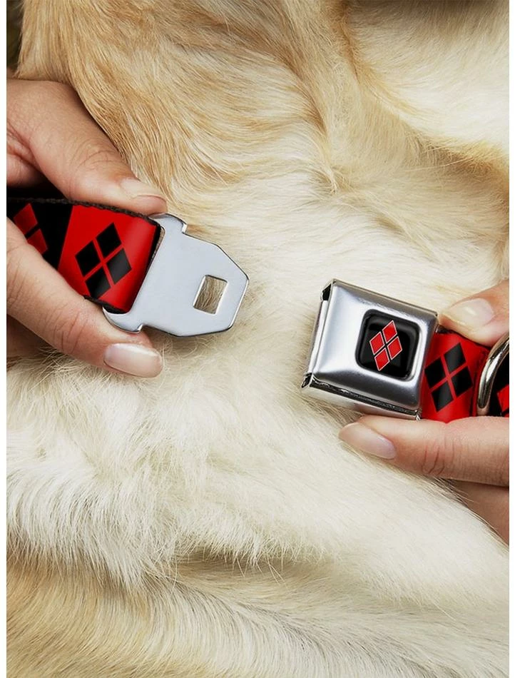 Best deal โญ DC Comics Harley Quinn Diamond Blocks Seatbelt Buckle ๐ Dog Collar ๐ 2 Best deal โญ DC Comics Harley Quinn Diamond Blocks Seatbelt Buckle ๐ Dog Collar ๐ - Image 2