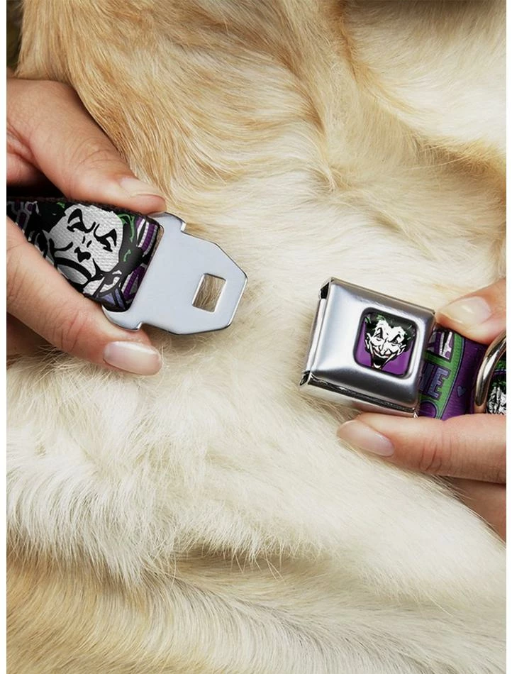 Cheap ๐ DC Comics The Joker Face Logo Spades Seatbelt Buckle ๐ถ Dog Collar ๐ฏ 2 Cheap ๐ DC Comics The Joker Face Logo Spades Seatbelt Buckle ๐ถ Dog Collar ๐ฏ - Image 2