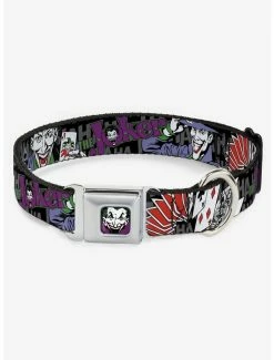 Brand new 🧨 DC Comics The Joker Pose Cards Seatbelt Buckle 🐕 Dog Collar 😀