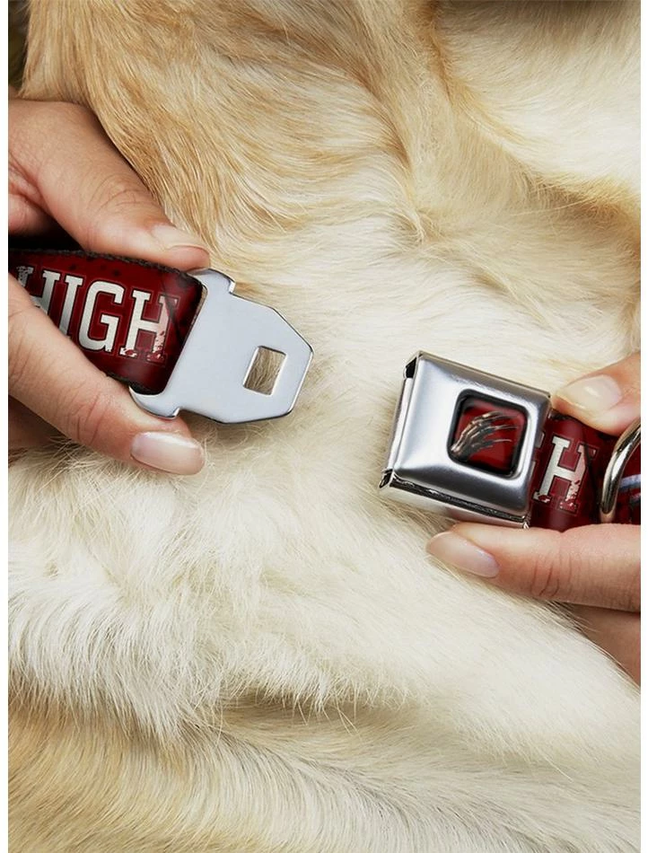 Coupon ๐ A Nightmare on Elm Street Springwood High Seatbelt Buckle ๐ถ Dog Collar โ๏ธ 2 Coupon ๐ A Nightmare on Elm Street Springwood High Seatbelt Buckle ๐ถ Dog Collar โ๏ธ - Image 2