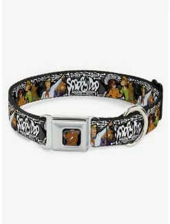 Best deal ✨ Scooby-Doo! Group Pose Bones Seatbelt Buckle 🦮 Dog Collar ✔️