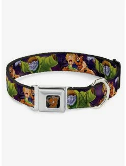 Best reviews of 🔔 Scooby-Doo! Shaggy Hugging Werewolf Man Seatbelt Buckle 🐶 Dog Collar ✔️