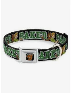 Top 10 💯 Scooby-Doo! Shaggy Pose Seatbelt Buckle 🐕 Dog Collar ✔️
