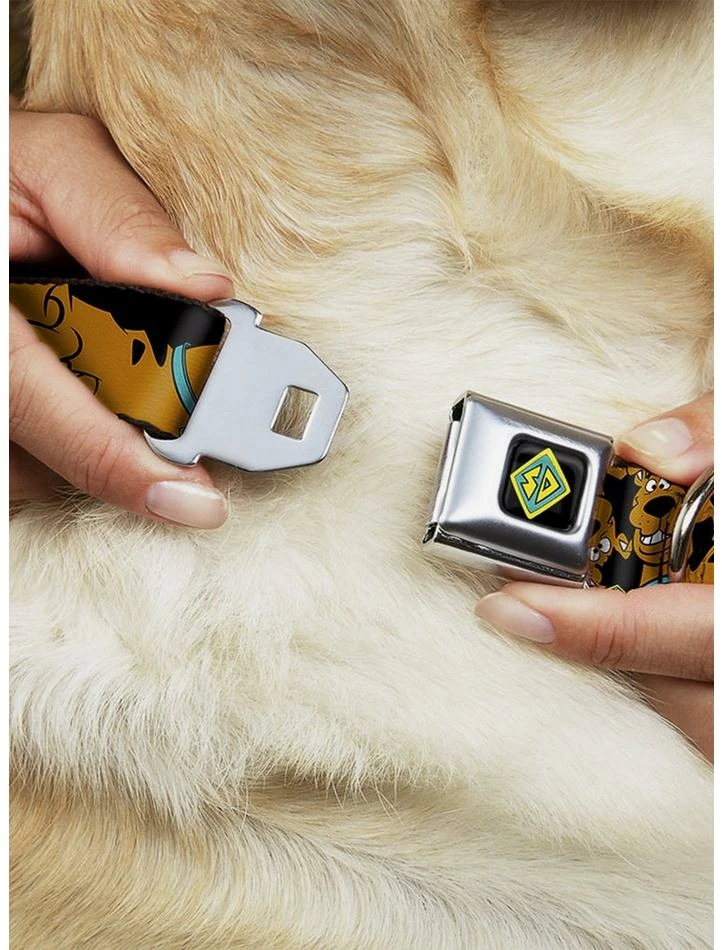 Best Sale ๐ Scooby-Doo! Stacked Close Up Black Seatbelt Buckle ๐ถ Dog Collar ๐ 2 Best Sale ๐ Scooby-Doo! Stacked Close Up Black Seatbelt Buckle ๐ถ Dog Collar ๐ - Image 2