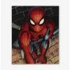 Discount ❤️ Marvel Spider-Man Brick Wall Close-Up Wood Wall Decor 🎉